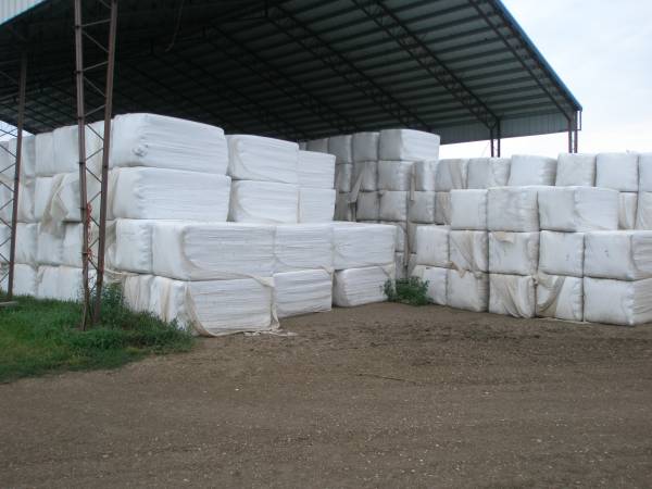 WRAPPED DAIRY ALFALFA