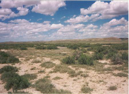 Wyoming Land Great Hunting Owner Will Carry (Rawlins)