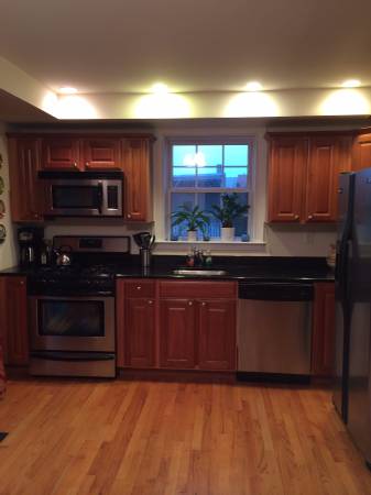 x00241050  1BR in updated Eastie 2BR, Jeffries Point (East Boston)