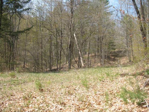 x0024126000  36 acres of land (South Strafford)