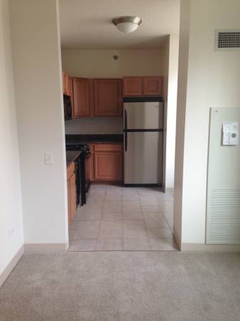 x00241530  IN UNIT WASHERDRYER, GRANITE COUNTER, UPDATED KITCHEN, UTILITIES INCL (LOOPWEST LOOP G P Br LINES OGILVIE)