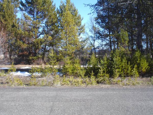 x002420000  Great view Lot for Sale Owner will Carry 5K Down (Donnelly)