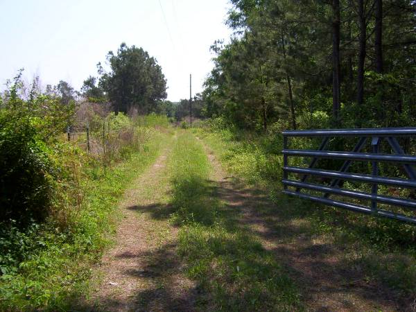 x0024210000  Beautiful 75 Acres with ponds and Lake (Salley, SC)