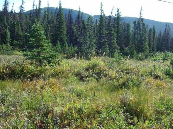 x0024215000  Anchorage, AK Land for Sale