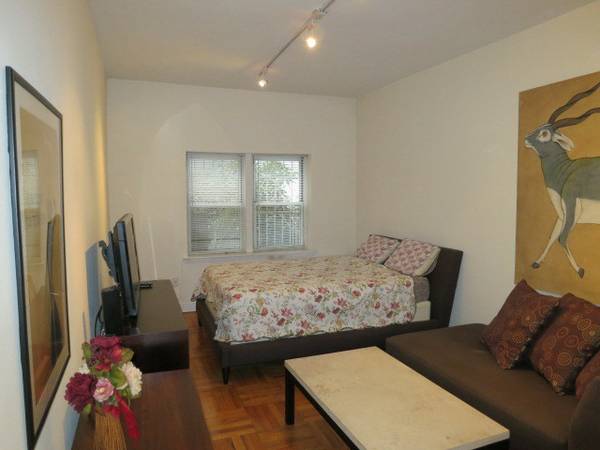 x00242750  Large Furnished Studio with separate Kitchen