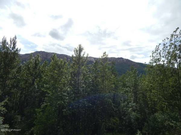 x0024290000  ENDLESS OPPORTUNITIES WITH THIS 3.16 ACRES LAND FOR SALE IN EAGLE RIVE (Eagle River)