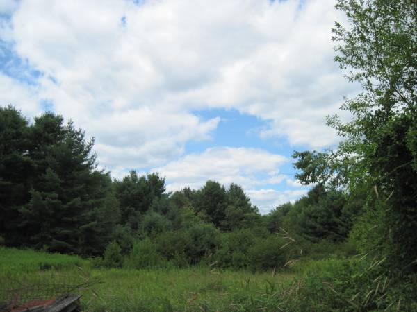 x0024299900  23 acres of land 5 minutes from Downtown. (Lewiston)