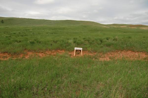 x002430000 Two View Lots for Sale (Black Hills, SD)