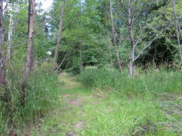 x002435000  Two waterfront lots for sale (Olympia, WA)