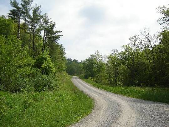 x002439000  21 Acres with Hilltop Views (yosmite Ky)