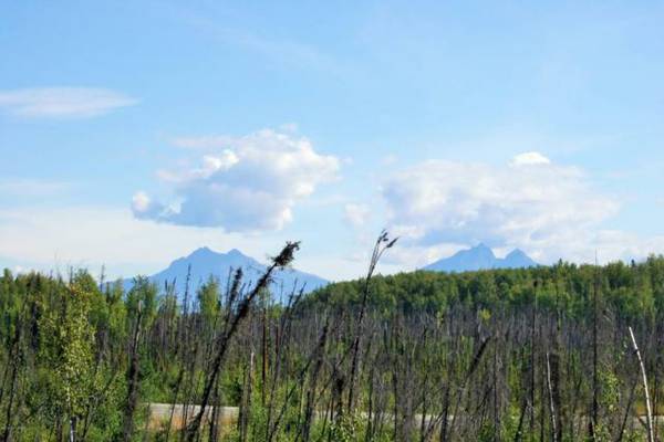 x002441000  WASILLA, AK LAND FOR SALE