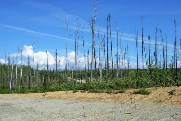 x002445000  WASILLA, AK LAND FOR SALE