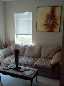 x0024480  Rooms for rent (Center city area)