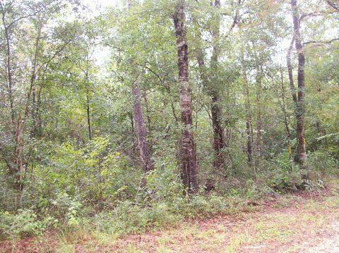 x00245000  MERRILL LAND FOR SALE or TRADE (Lucedale, George Co., Mississippi)