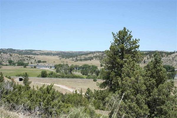 x002450000  SELLER FINANCE 20 Acres With Access  to Yellowstone River (REED POINT)