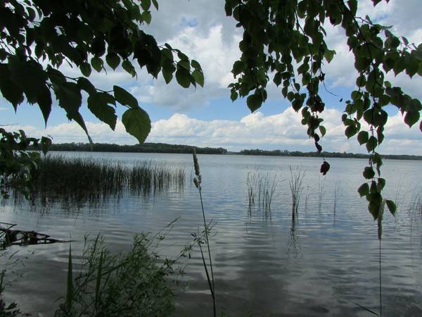 x002466000  Fish Lake Private treed Lot w80 shoreline (Fergus Falls)