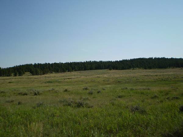 x002469900  Country Subdivision in Grass Range 20 to 160 acres