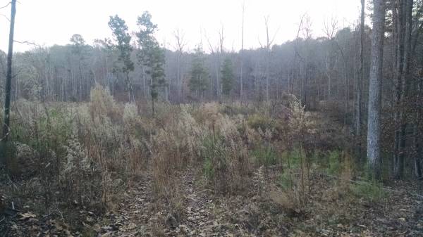 x00249500  28 acres Farm Land (Wake Forest)