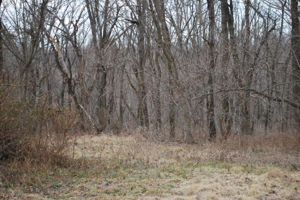 x0024999  TABLE ROCK LAKE LOTS (Stone County, Mo.)