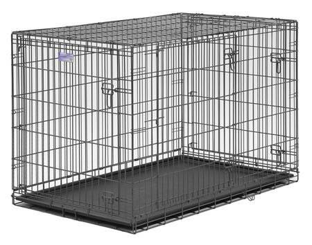 XL Dog Crate, and SUV barrier