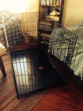 XL wire dog crate (Ballard)