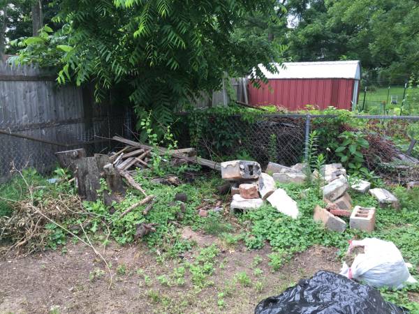 Yard clean up (Edison)