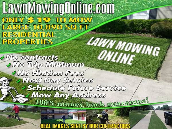 you can save money on your lawn care needs