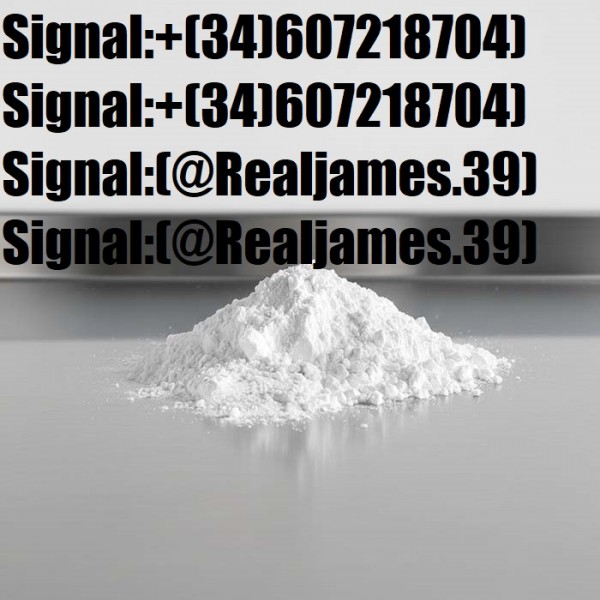 Signal:(@Realjames.39)