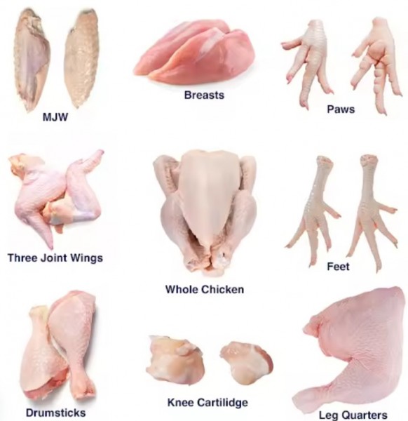 Bovine Beef wholesale, Wholesale Frozen Chicken