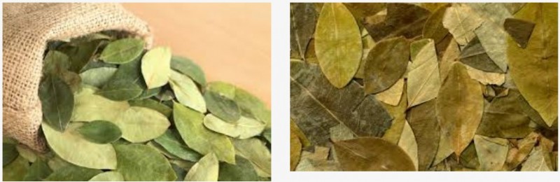 Buy Coca Leaves Online