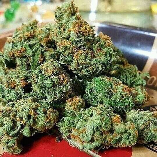 Buy Quality MDMA, LSD (Jamesgrays720@gmail.com) METH, ADHD/Pharmaceuticals, Cannabis, Medical Marijuana Signal: +34 607218704