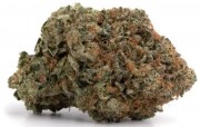 Buy Forbidden Fruit Cannabis