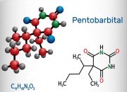 Where to Buy Pentobarbital Sodium Solution | Nembutal Pentobarbital Sodium