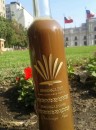 R. Ayahuasca tea online | Overnight delivery