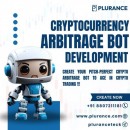 Develop your profit-driven crypto arbitrage bot with Plurance