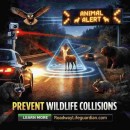 THE NIGHT DRIVE HAS CHANGED.